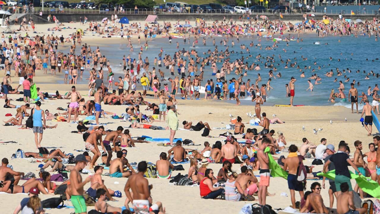 People are seen at Bondi Beach as temperatures reach 41 degrees