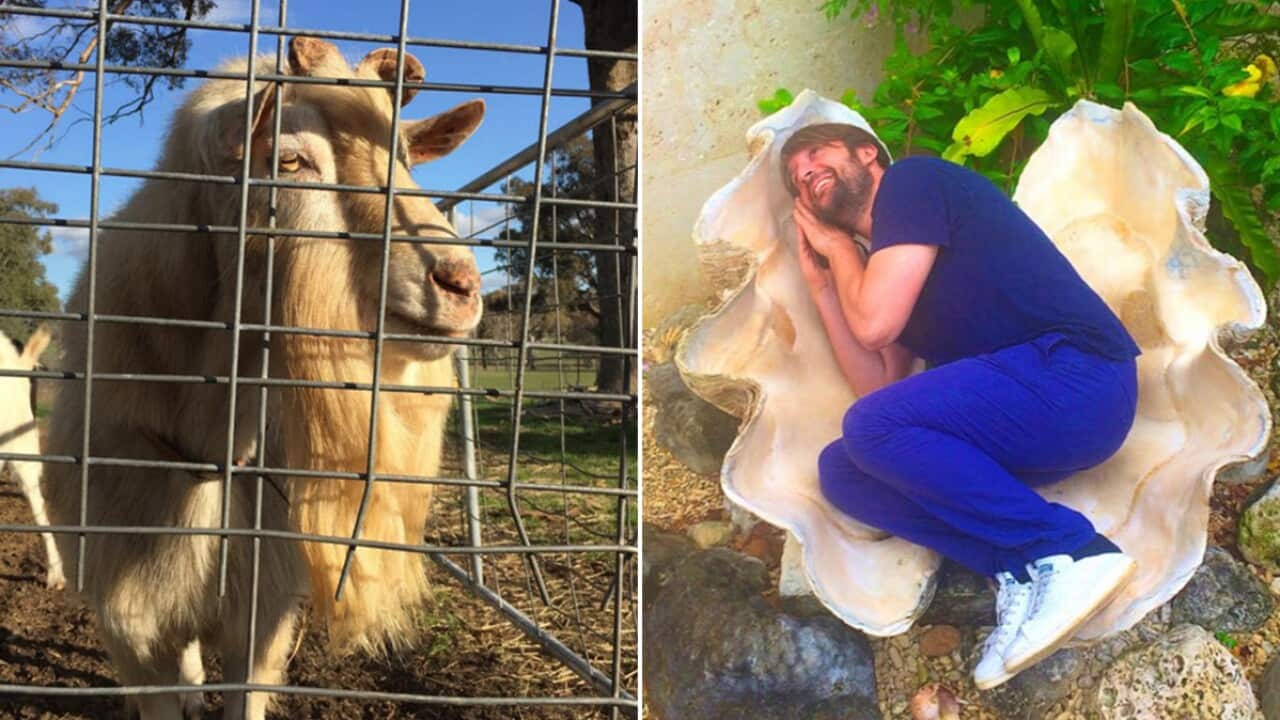 Barista goat and Rene Redzepi