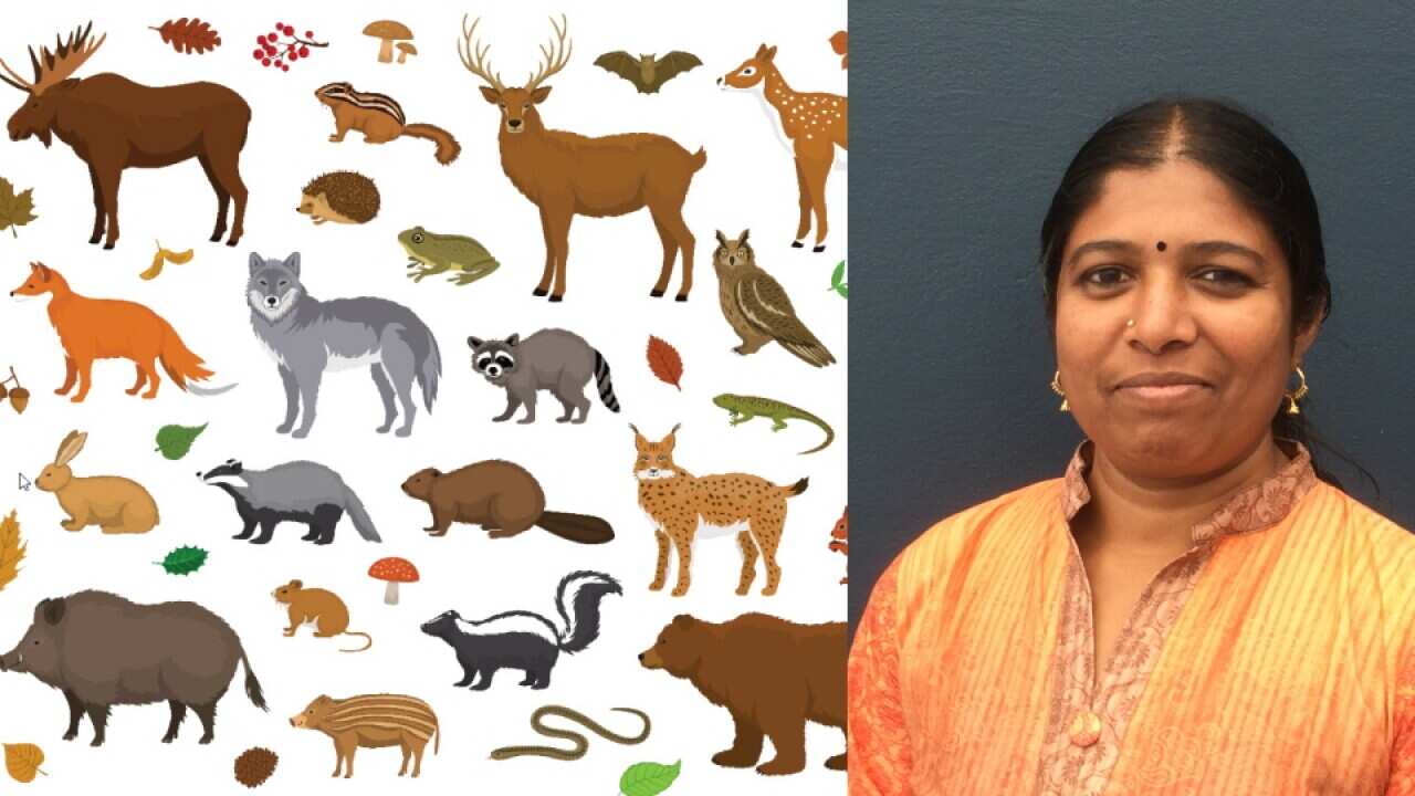 Geetha NA.jpg