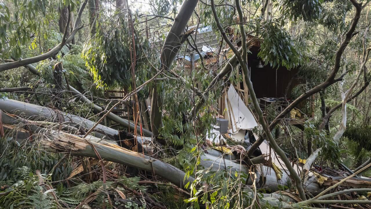A damaged house is seen in Olinda, Melbourne, Tuesday, June 15, 2021. (AAP Image/Daniel Pockett) NO ARCHIVING
