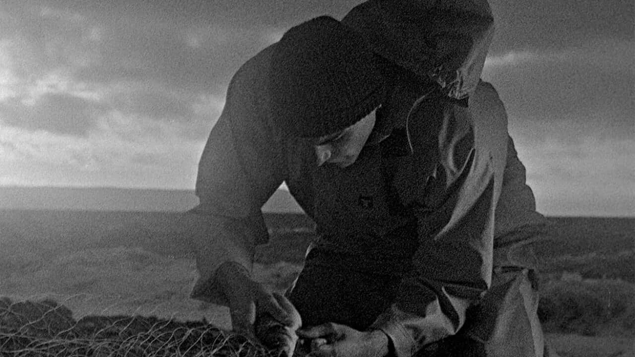 Bait, Isaac Woodvine