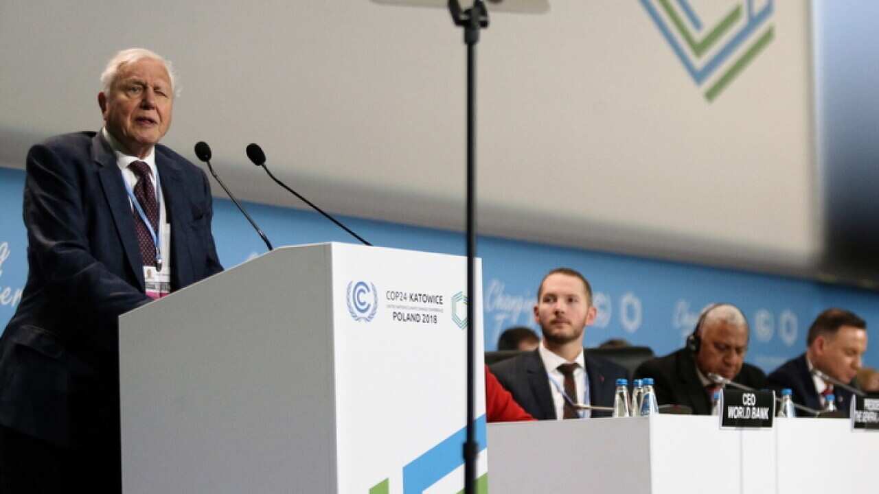 David Attenborough at the UN Climate conference
