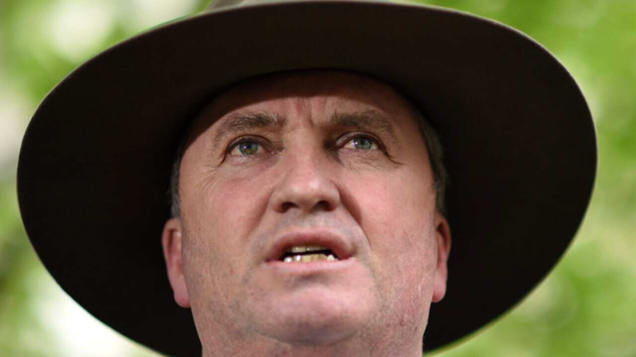 Acting Prime Minister Barnaby Joyce