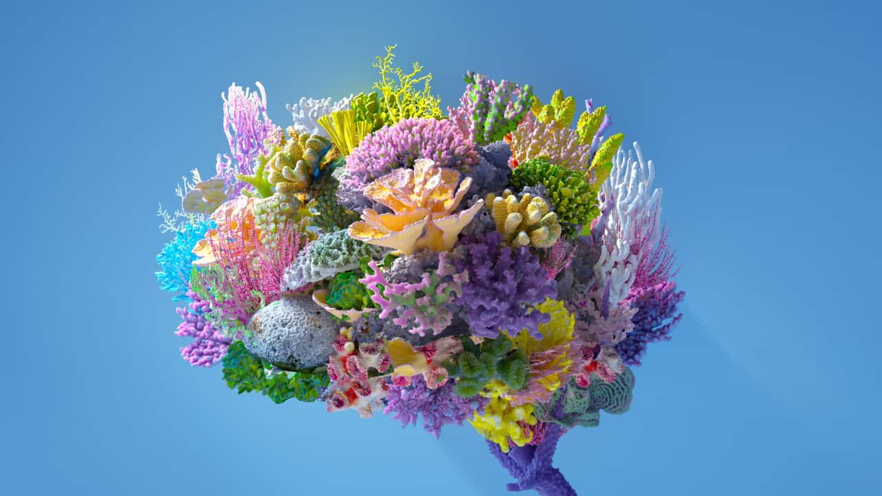 Flower brain