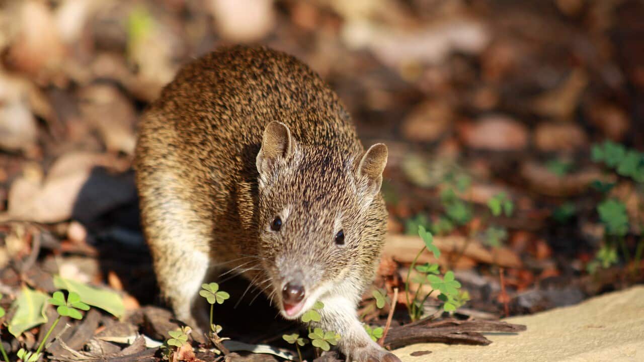 Image for read more article 'Más información:'