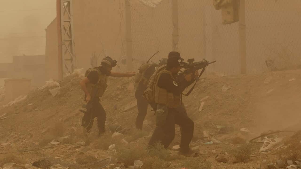 IS raises flag over government HQ in Iraq's Ramadi