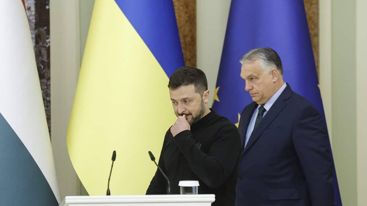 Hungary's Prime Minister Orban meets Ukraine's President Zelensky in Kyiv