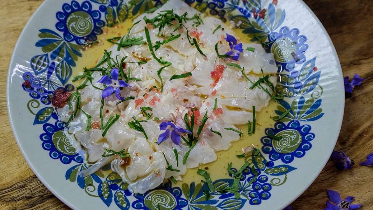 Ceviche of dhufish with finger limes