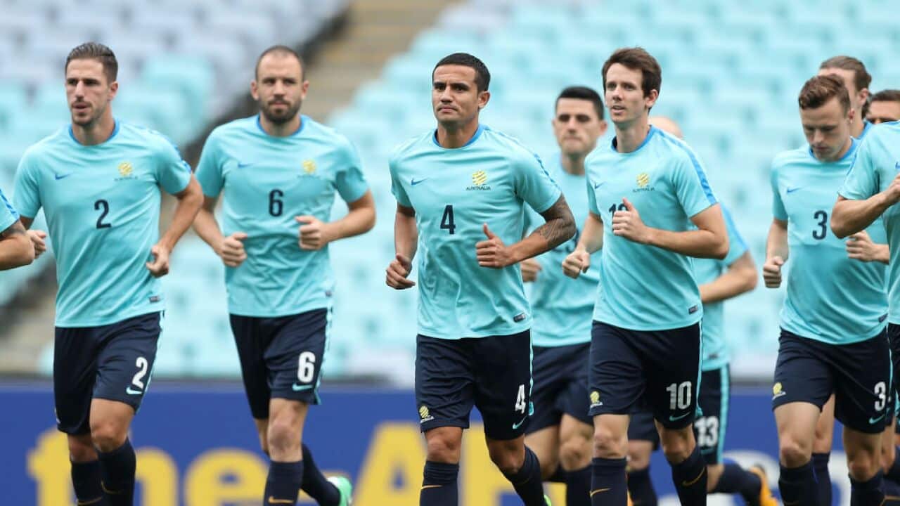 Australian Socceroos Training Session