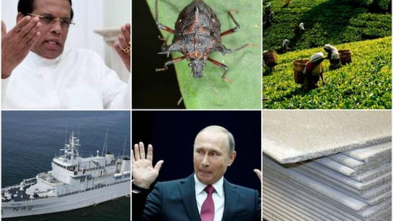 World news highlights