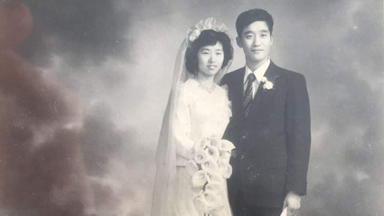 supplied by Long jie