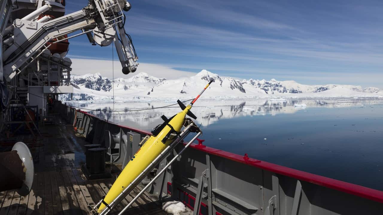SOUTHERN OCEAN MONITORING