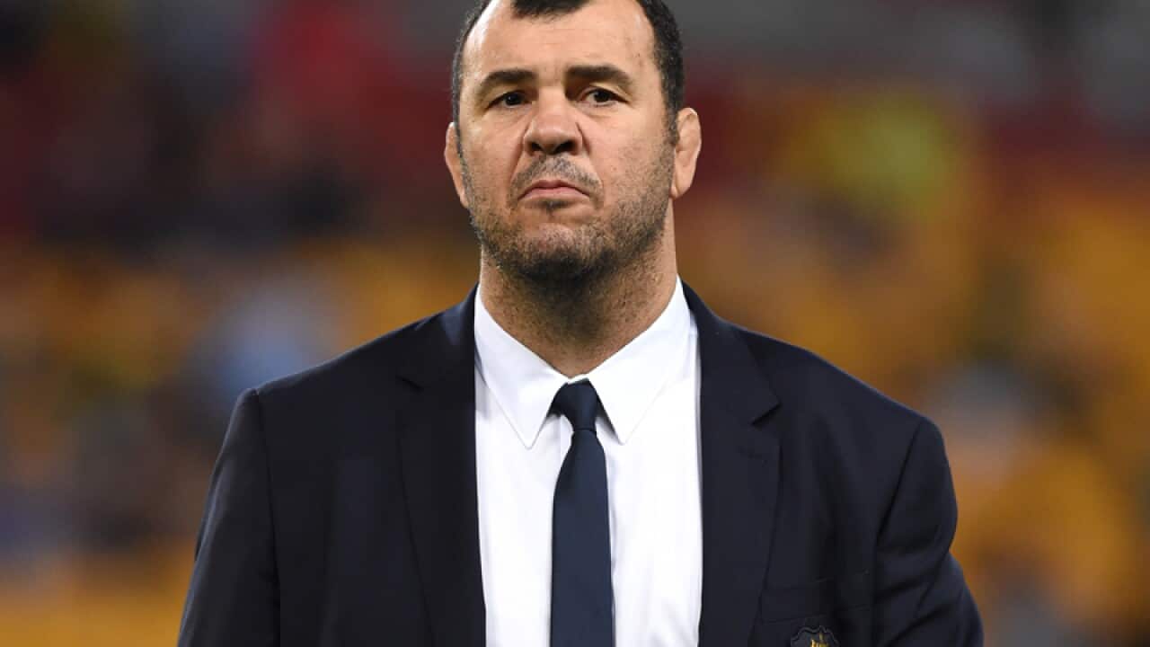 Wallabies coach Michael Cheika