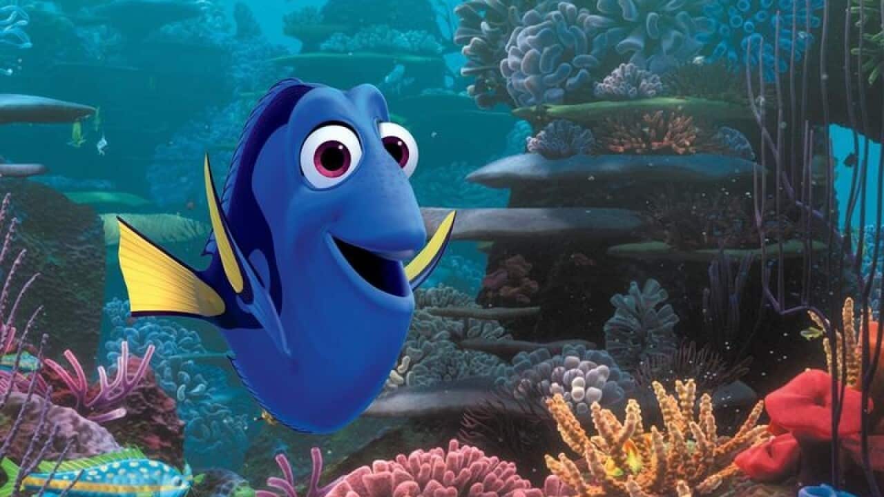 Dory from Finding Nemo