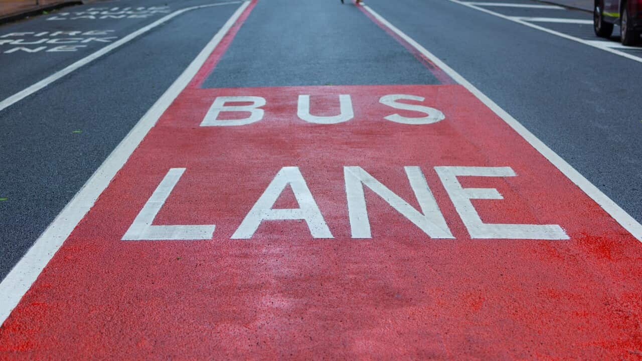 Bus lane road marking, Sydney, Australia