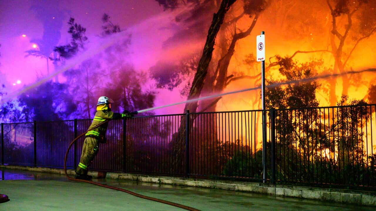 A firefighter battles the bushfire in Peregian Beach, Queensland