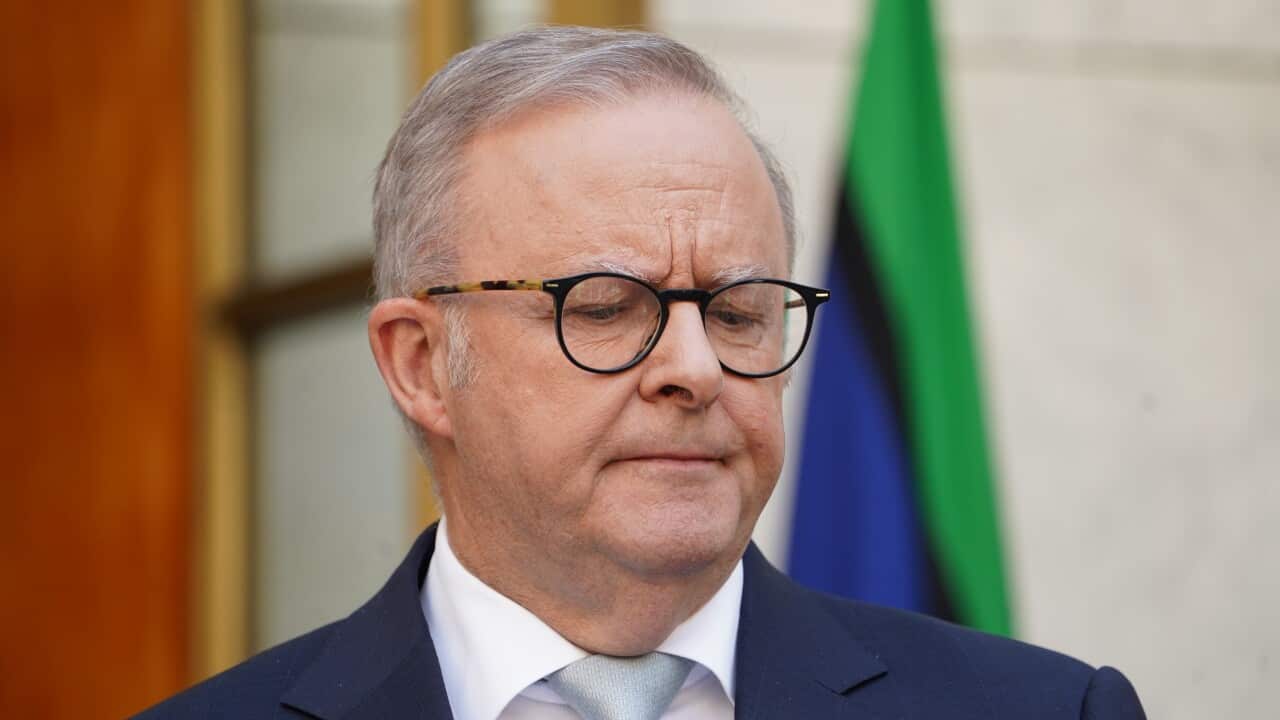Anthony Albanese wearing black glasses and a black suit