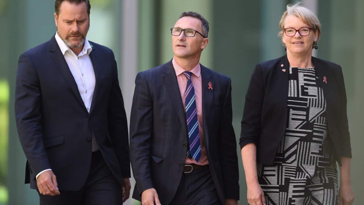 Greens senators Peter Whish-Wilson, Richard Di Natale and Janet Rice