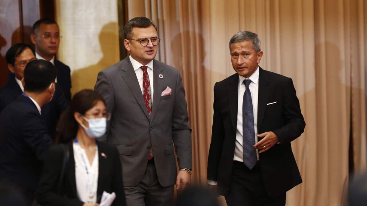 Ukraine's Foreign Minister and his Singaporean counterpart (AAP).jpg