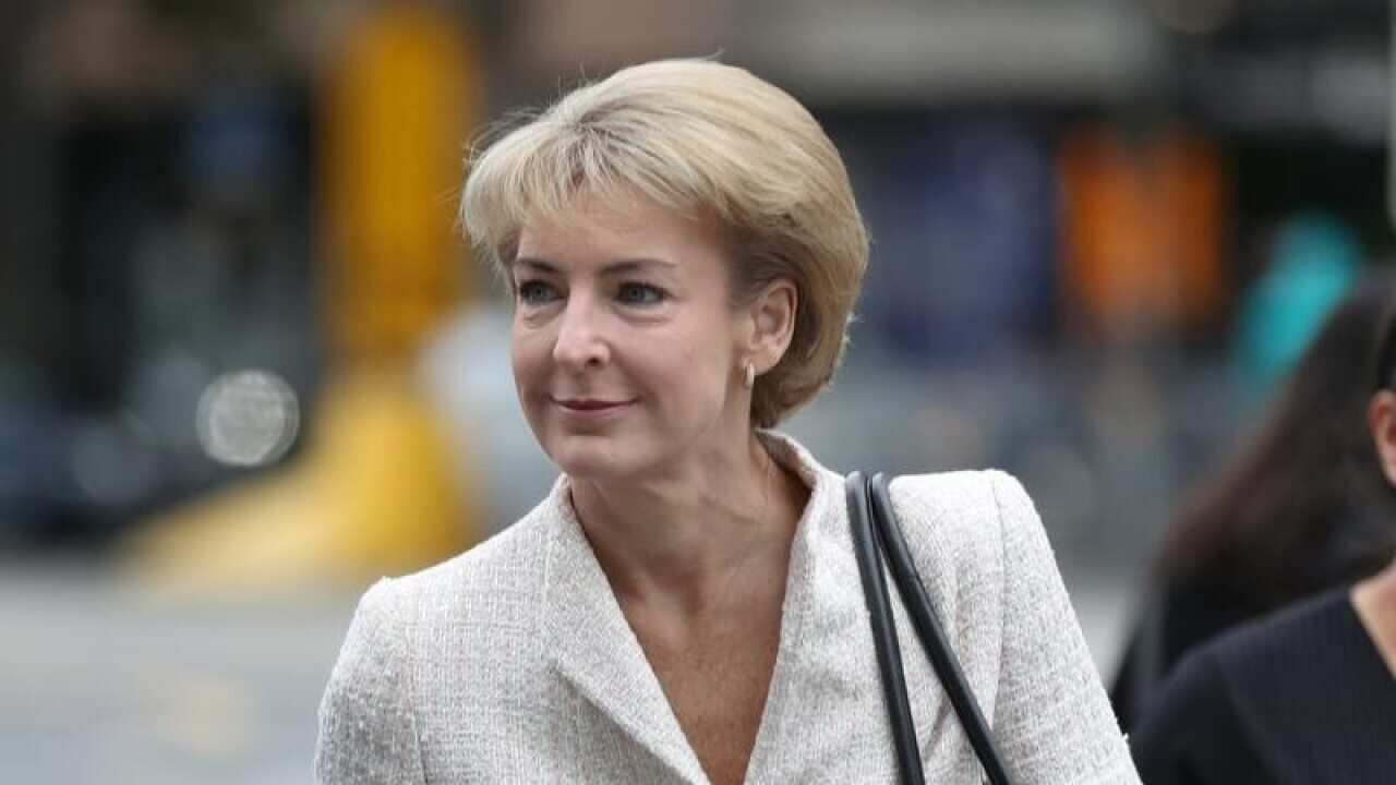 Employment Minister Michaelia Cash