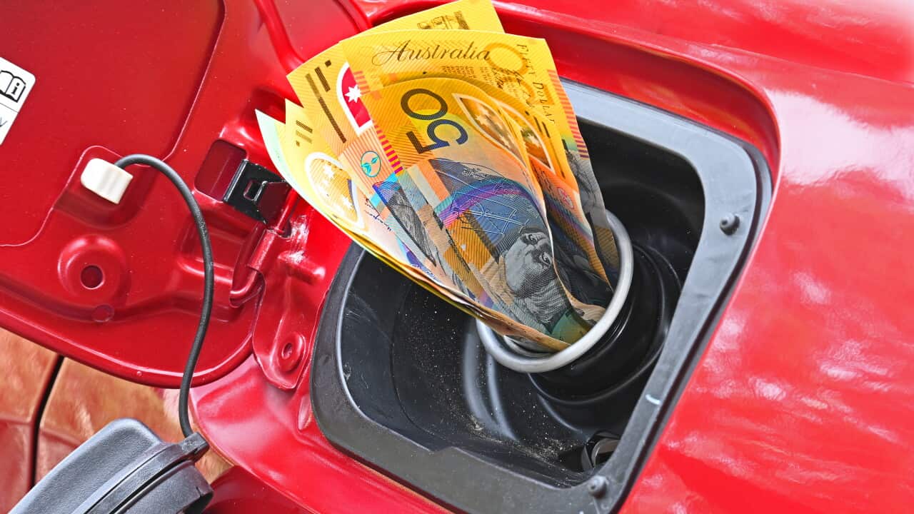 Money in the tank