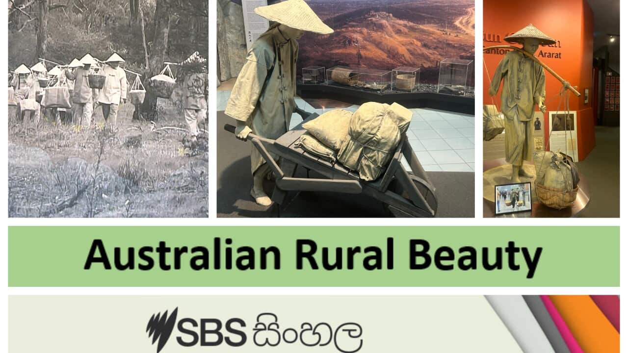 Traveling to the village Ararat where initiated by the Chinese who came to Australia in the Gold Rush era