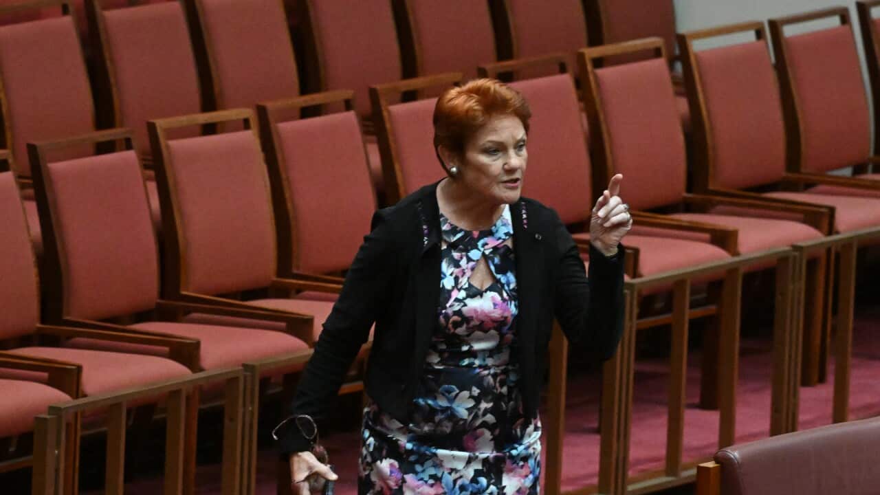 Pauline Hanson, wearing a floral dress, gesticulating in a room with red seats and pink carpet.