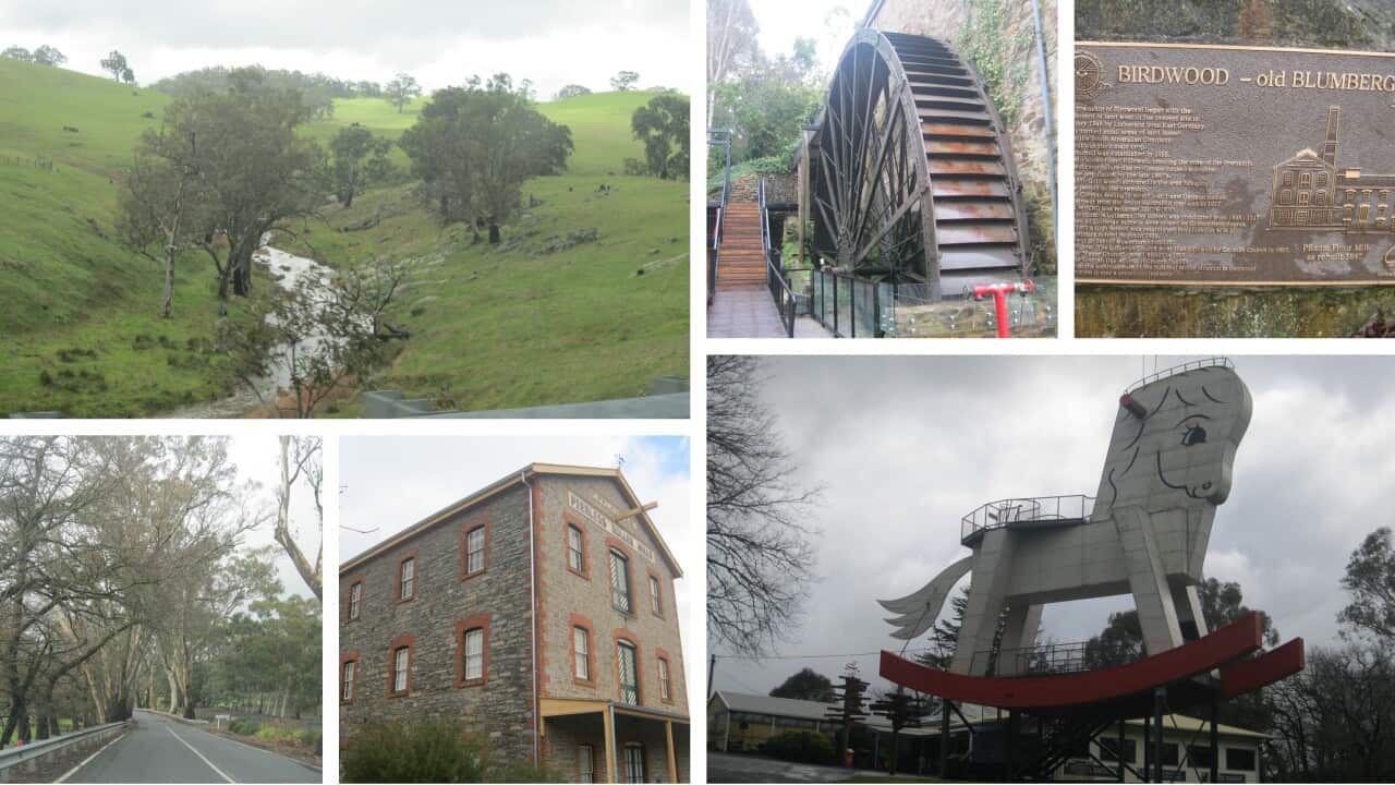 Adelaide Hills _ Australian rural beauty
