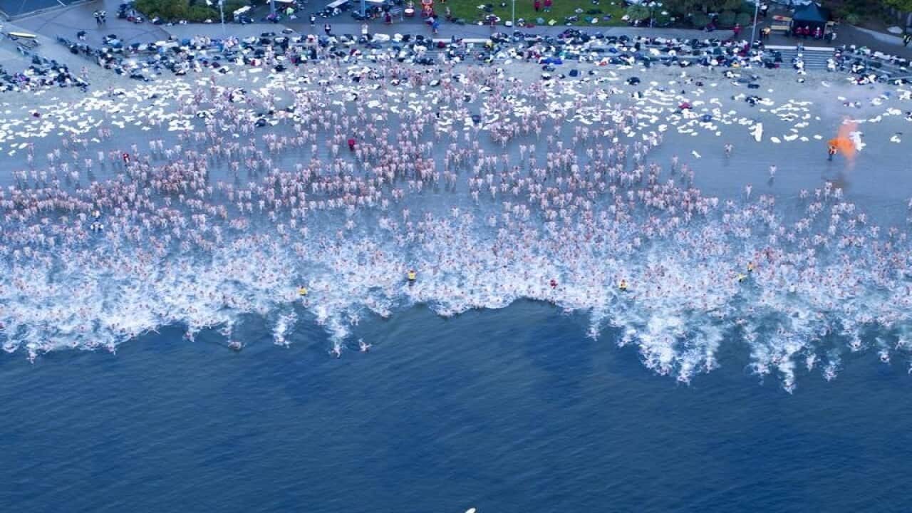 DARK MOFO WINTER SOLSTICE SWIM HOBART