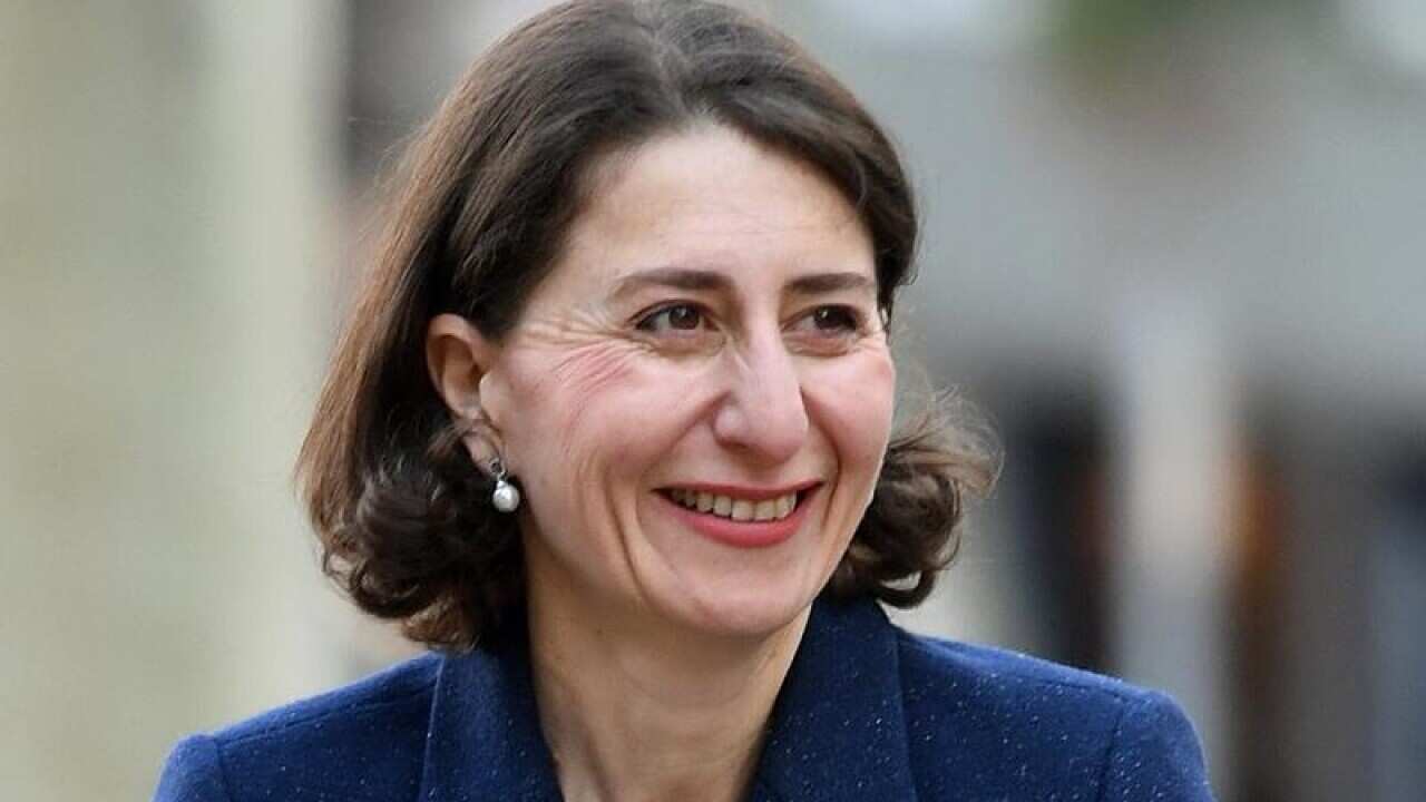 Premier Gladys Berejiklian has tasked a three-member panel to help lower the rate of immigration.