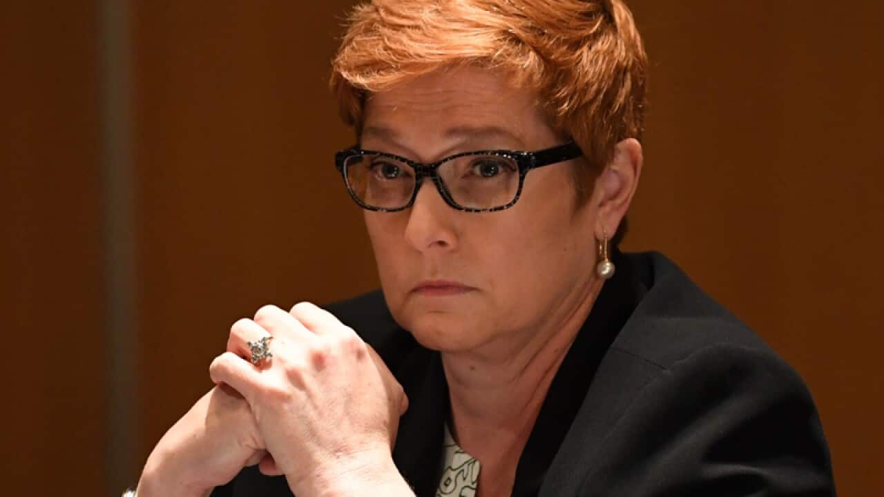 Defence Minister Marise Payne