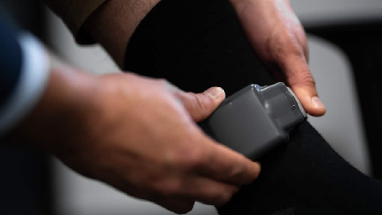 NSW MONITORING OF DV OFFENDERS