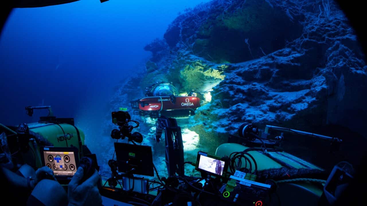 Image for read more article ''