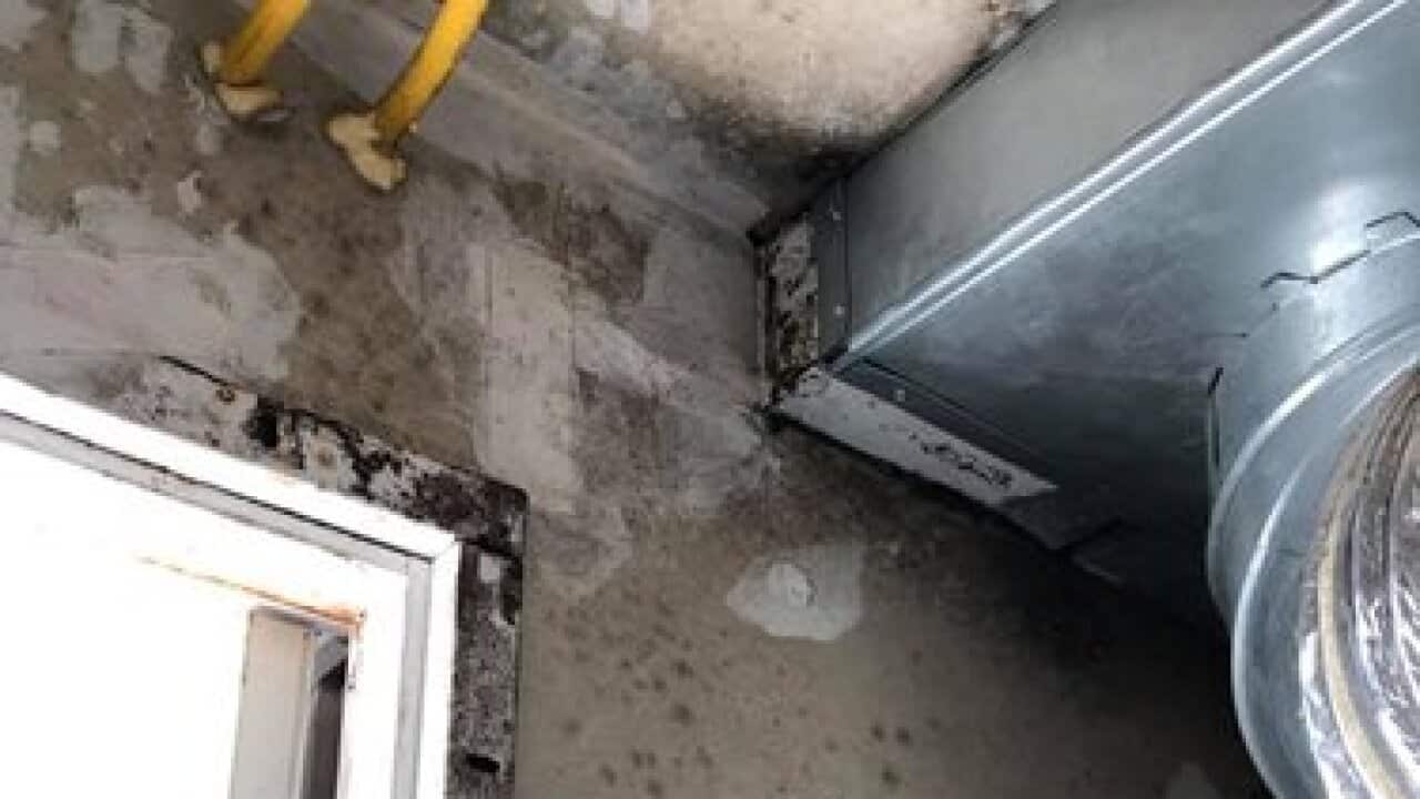 Military Families Say Base Housing Is Plagued by Mold and Neglect