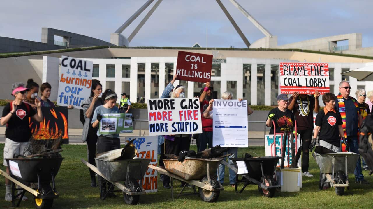 Bushfire survivors converge outside Parliament to call for an end to the influence of the coal lobby over politicians