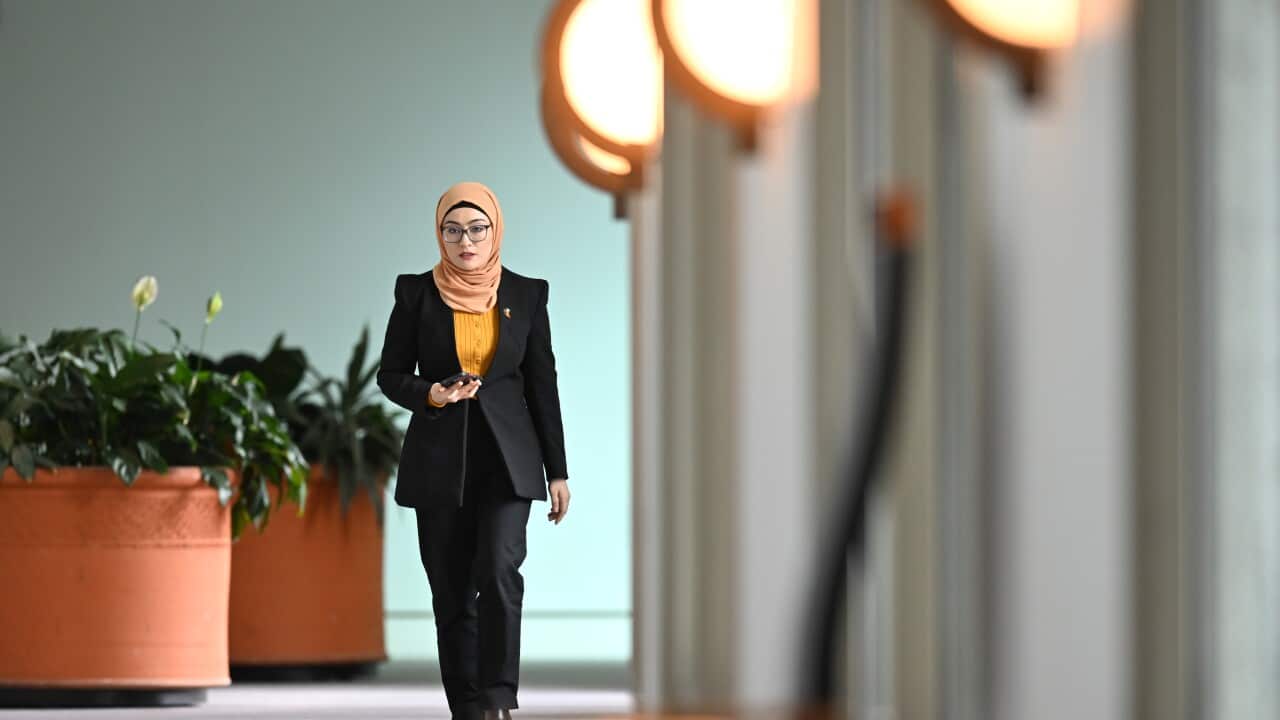 FATIMA PAYMAN PRESSER