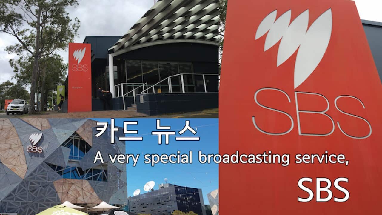 Card News: SBS Korean