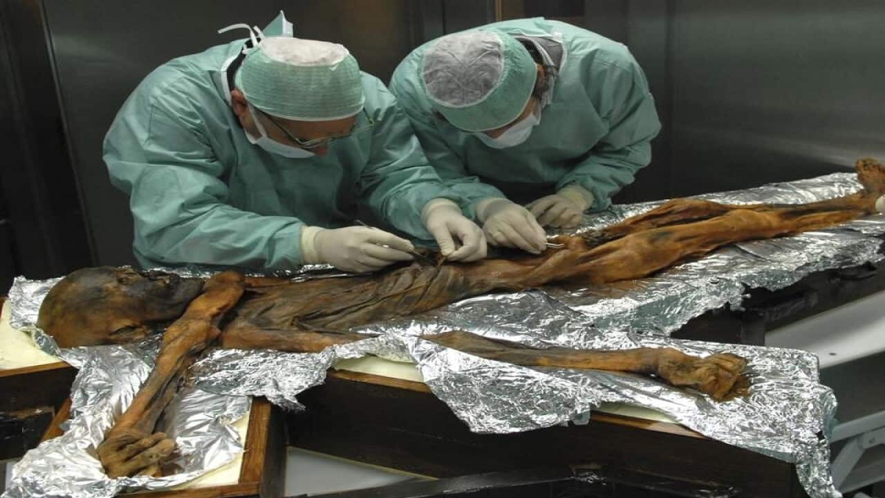 Researchers have examined the stomach contents of a frozen hunter.