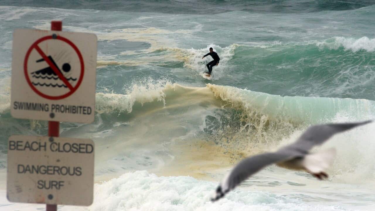 氣象局警告,新州沿岸有巨浪。