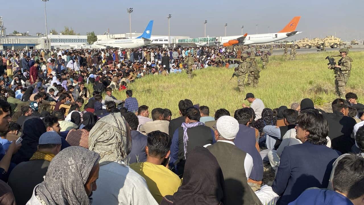 Crowds gather at Kabul's airport in August 2021, desperate to board a plane to leave the country