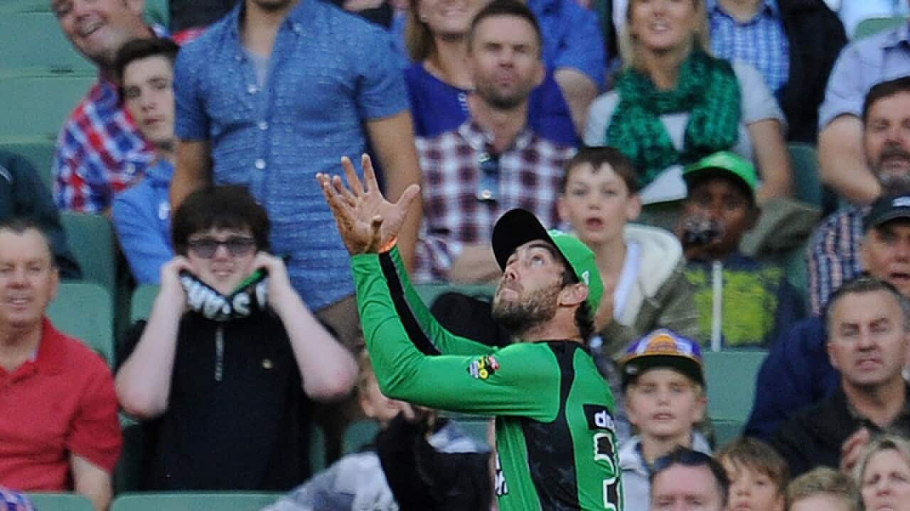 Melbourne Stars allrounder Glenn Maxwell