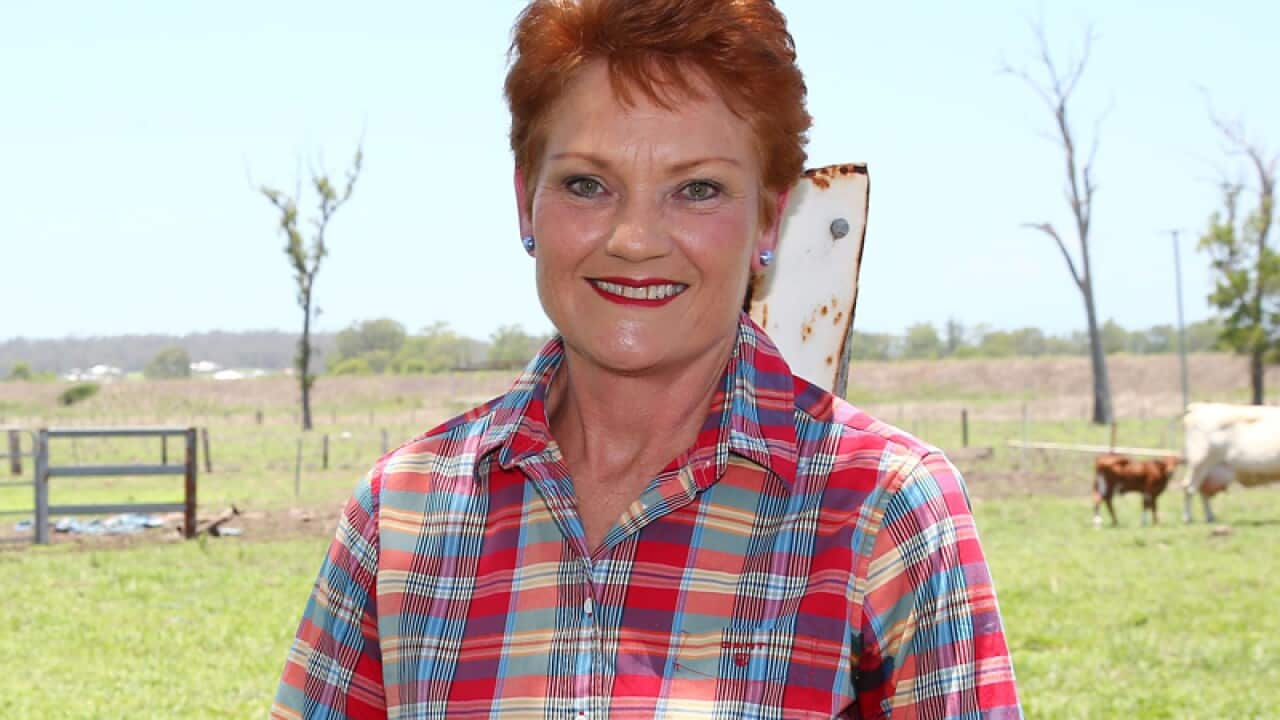 One Nation party leader Pauline Hanson.