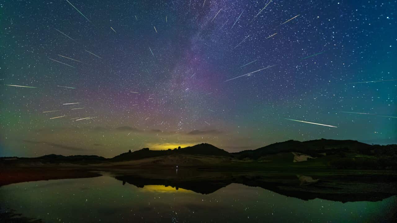 The Perseid Meteor Shower