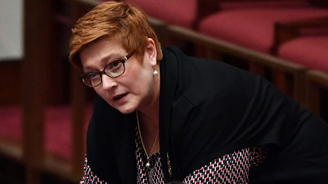 Foreign Minister Marise Payne has confirmed a Perth couple have been freed from detention in Iran.