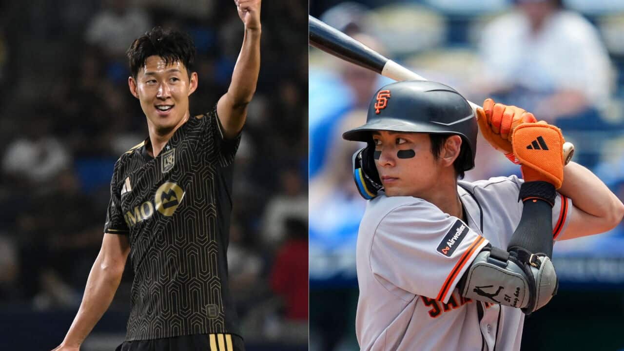 sports catchup.jpg