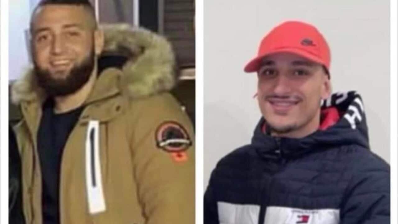 Daily News Roundup (2).jpg