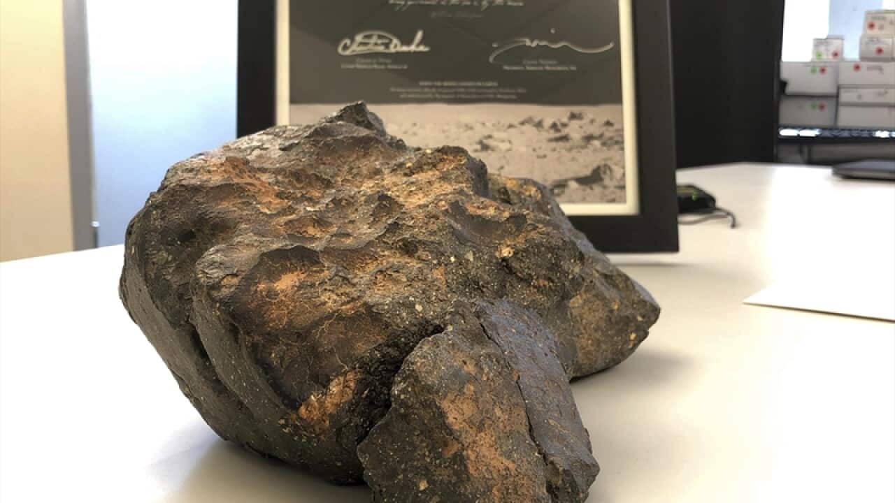 Lunar meteorite
