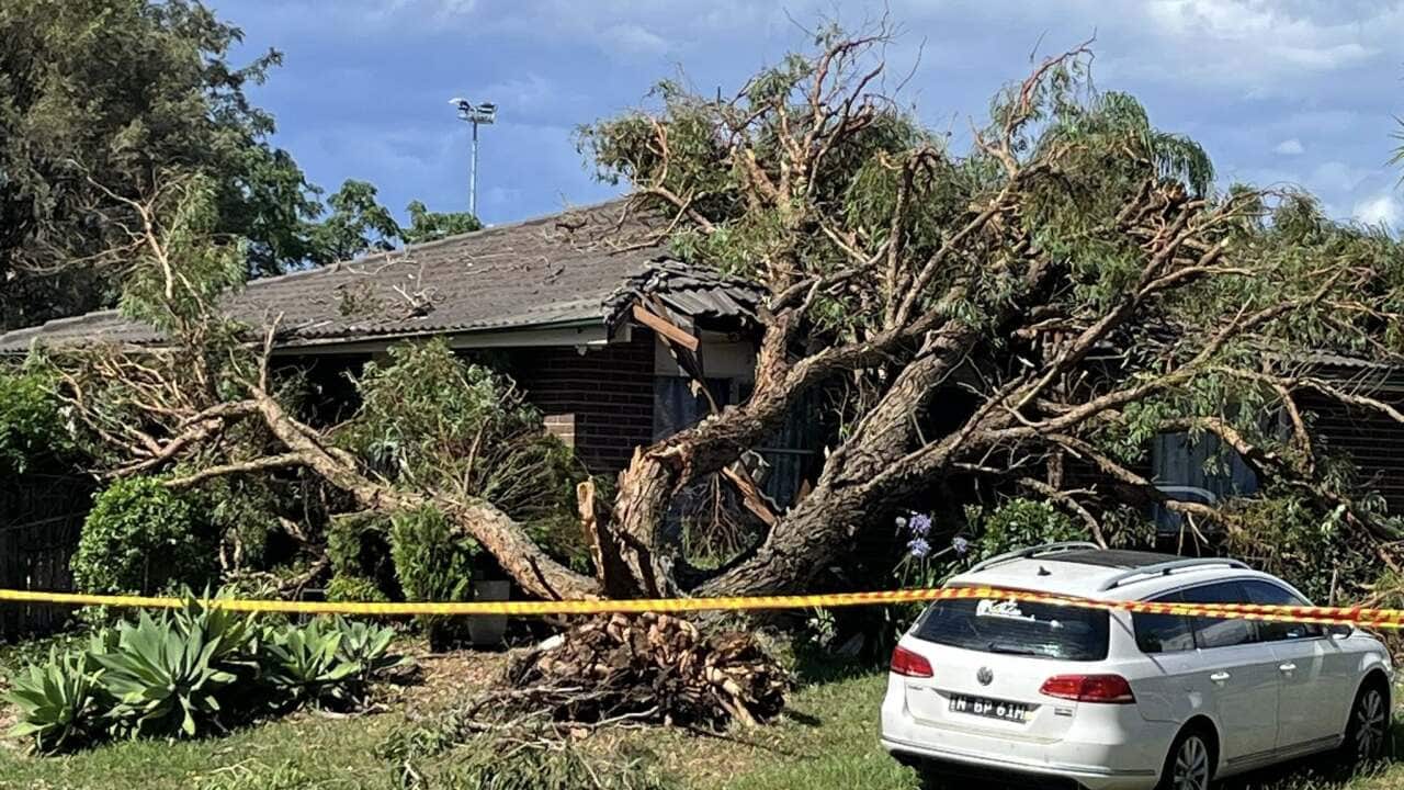 Image for read more article 'පසුගිය පුවත්'