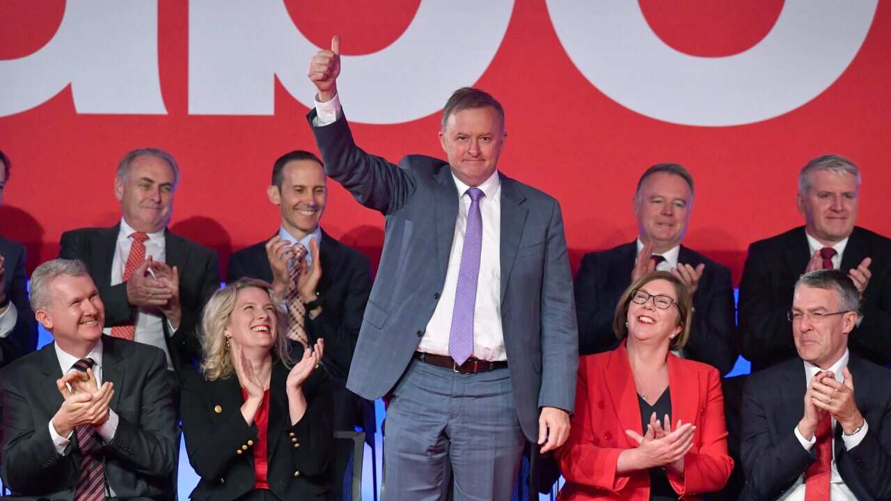 Anthony Albanese will contest Labor's leadership ballot.