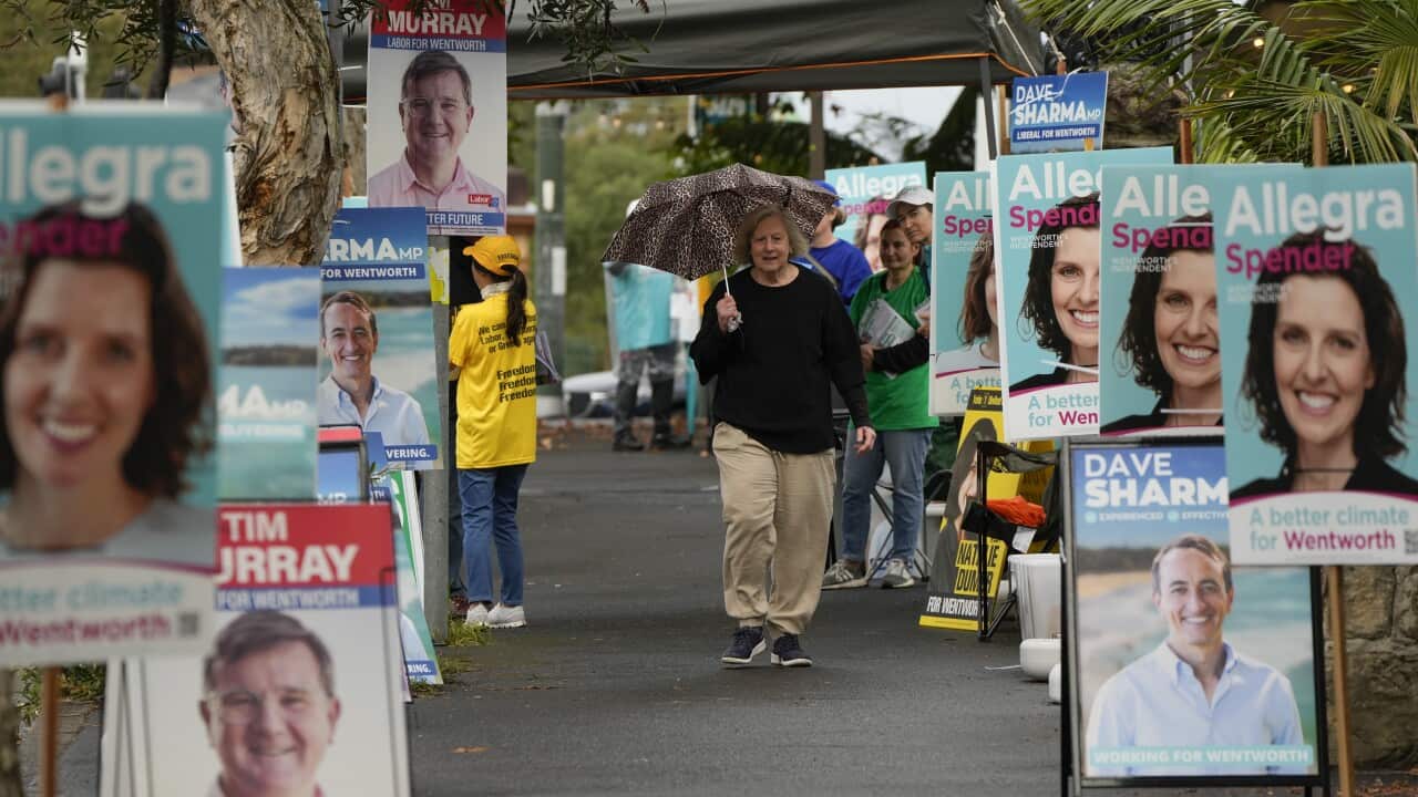 Image for read more article 'READ MORE'